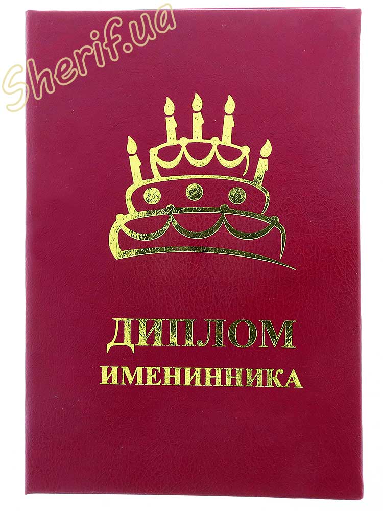 Диплом ІМІННИКА