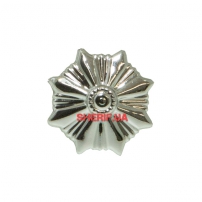 Зірочка Національної поліції України (127)