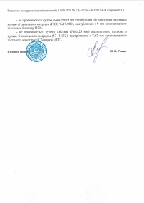 Баллистический шлем FAST NIJ IIIA, РЕ система Team Wendi