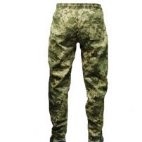 bryuki-piksel-vsu-barbarian