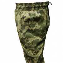 bryuki-piksel-vsu-barbarian