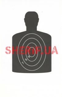 00455 Мішень А4 МІКС №2 (25 шт.)