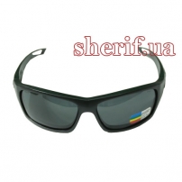 Окуляри тактичні Ess Credence Black Polarized