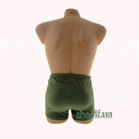 К-11011 Трусы мужские цвет green-1