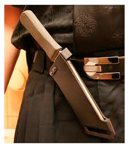 поясні піхви