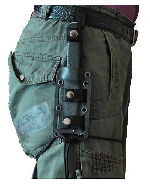 стегнові піхви